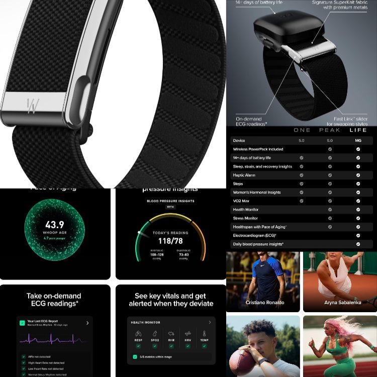 WHOOP | Your Personal Digital Fitness and Health Coach